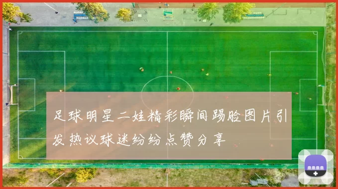 足球明星二娃精彩瞬间踢脸图片引发热议球迷纷纷点赞分享