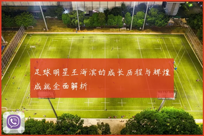 足球明星王海滨的成长历程与辉煌成就全面解析