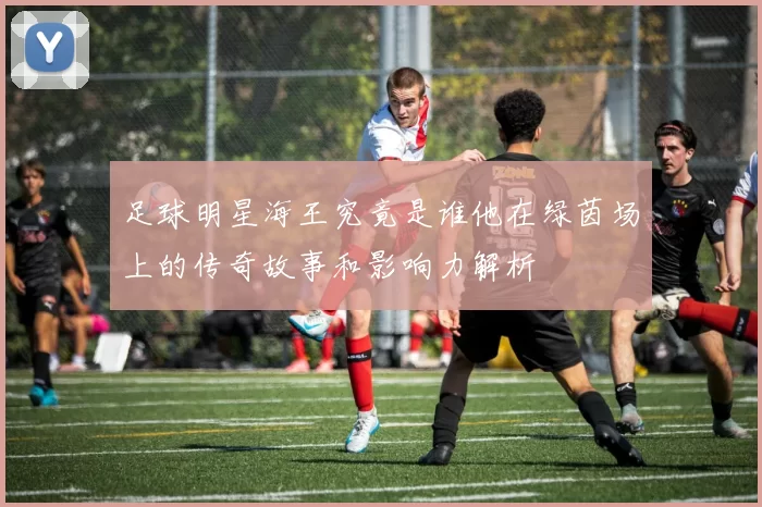 足球明星海王究竟是谁他在绿茵场上的传奇故事和影响力解析