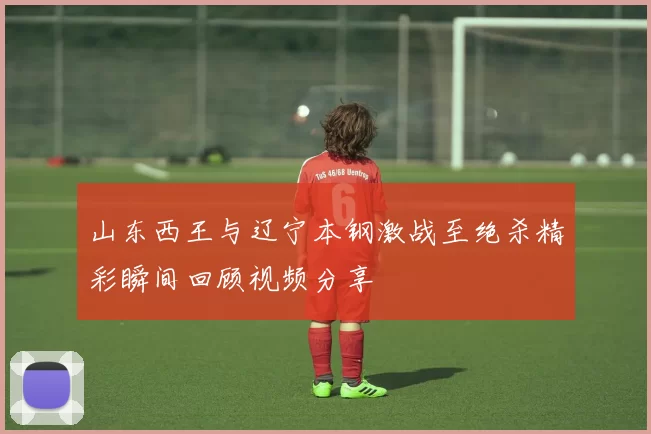 山东西王与辽宁本钢激战至绝杀精彩瞬间回顾视频分享