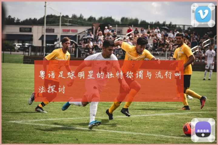 粤语足球明星的独特称谓与流行叫法探讨