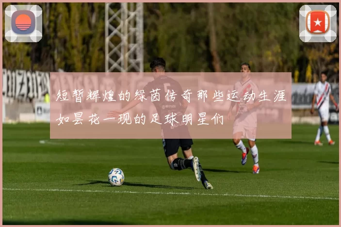 短暂辉煌的绿茵传奇那些运动生涯如昙花一现的足球明星们