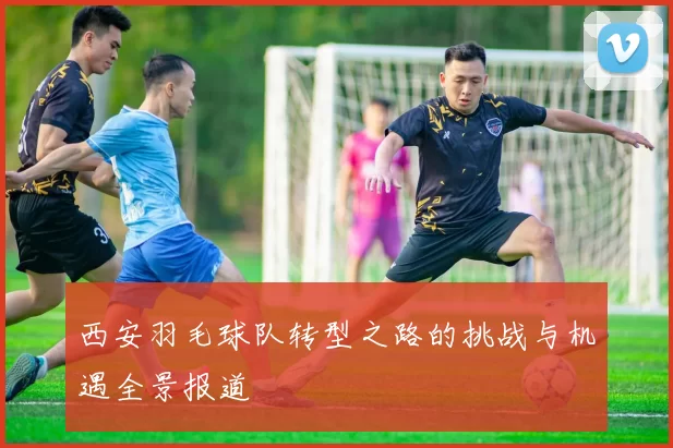 西安羽毛球队转型之路的挑战与机遇全景报道