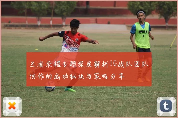 王者荣耀专题深度解析IG战队团队协作的成功秘诀与策略分享