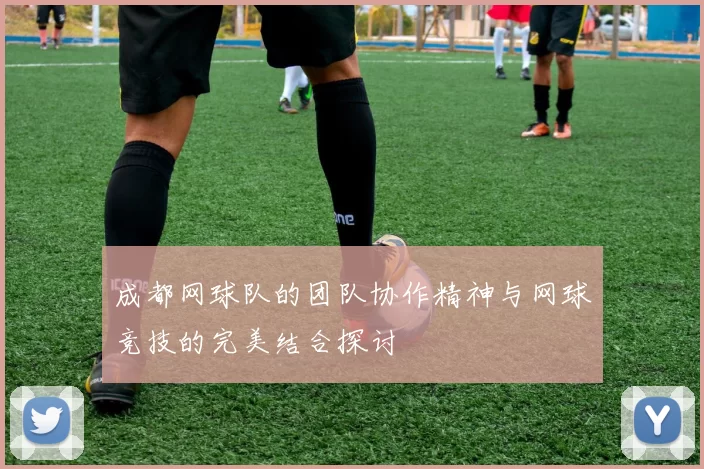 成都网球队的团队协作精神与网球竞技的完美结合探讨