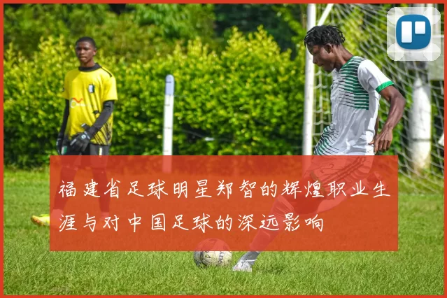 福建省足球明星郑智的辉煌职业生涯与对中国足球的深远影响