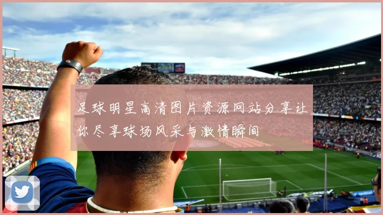 足球明星高清图片资源网站分享让你尽享球场风采与激情瞬间