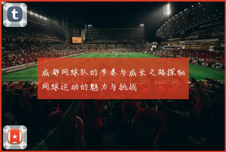 成都网球队的节奏与成长之路探秘网球运动的魅力与挑战