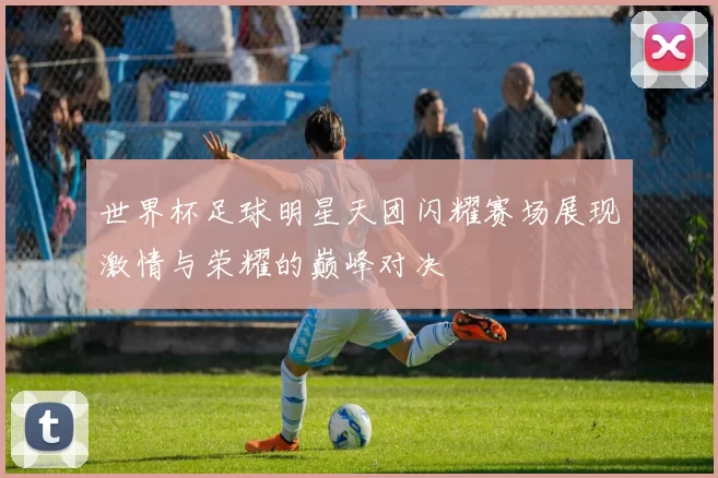 世界杯足球明星天团闪耀赛场展现激情与荣耀的巅峰对决