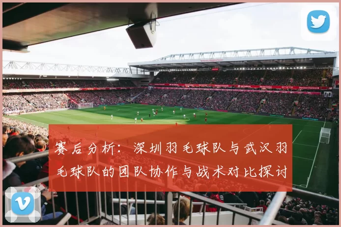 赛后分析：深圳羽毛球队与武汉羽毛球队的团队协作与战术对比探讨