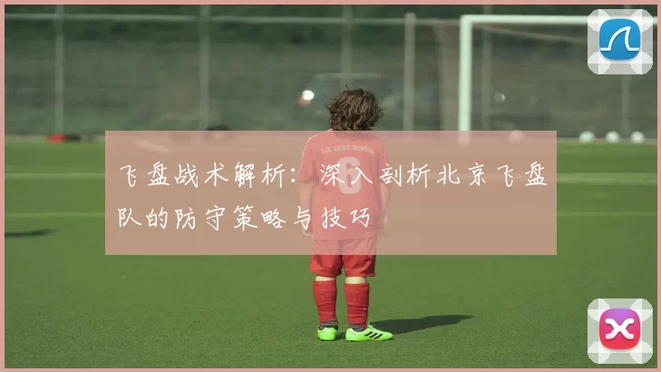 飞盘战术解析：深入剖析北京飞盘队的防守策略与技巧