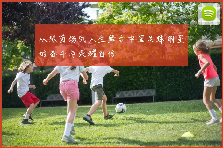 从绿茵场到人生舞台中国足球明星的奋斗与荣耀自传